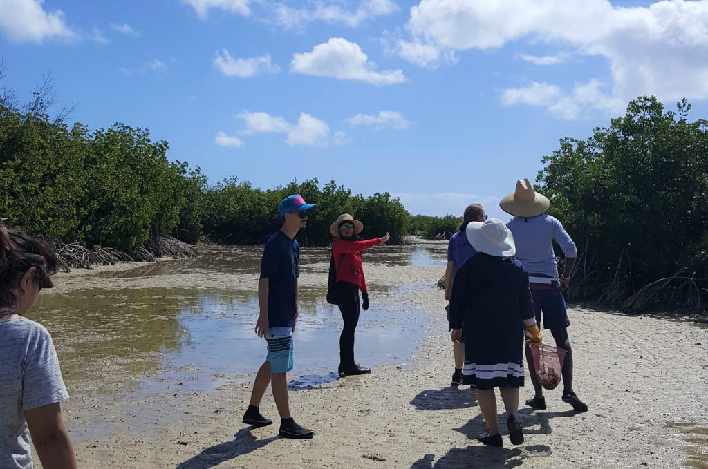 Students on a tour of Mokauea during low tide around mangroves.